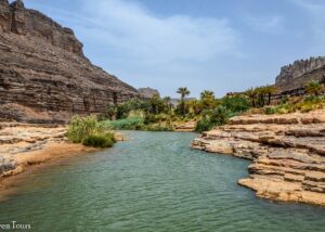 Des oasis naturelles